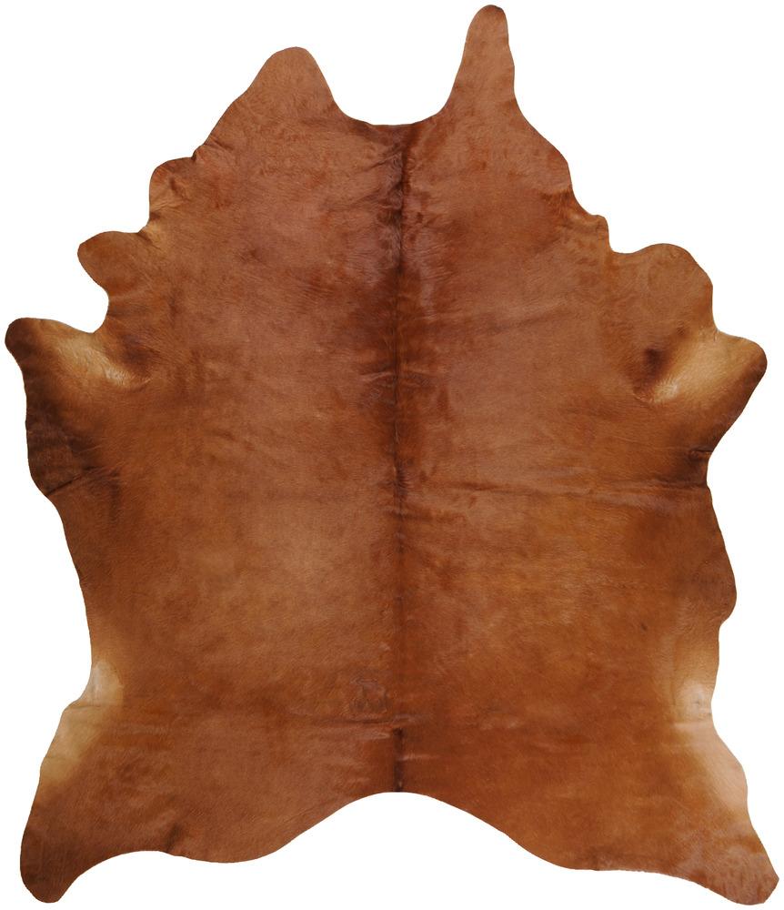 Collection Thumbnail